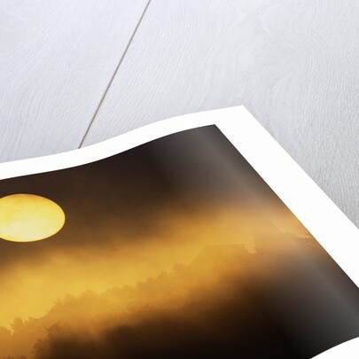 Sunrise Through Fog by Anonymous