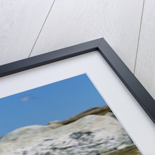 Mountain Goat Running by Anonymous