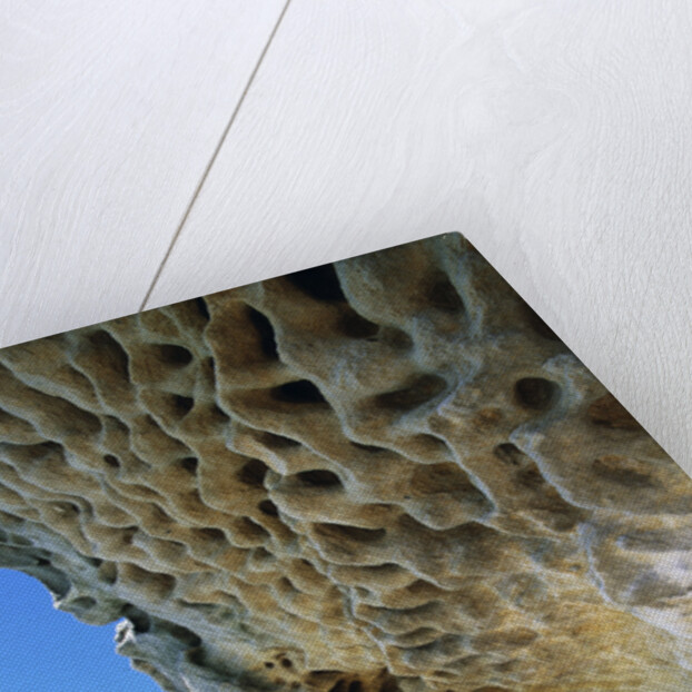 Cliff Eroding at Maroubra Beach by Anonymous