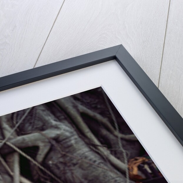 Buddha Sculpture Engulfed by Tree Roots by Anonymous