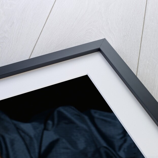 Biologist Holding a Giant Marine Toad by Anonymous