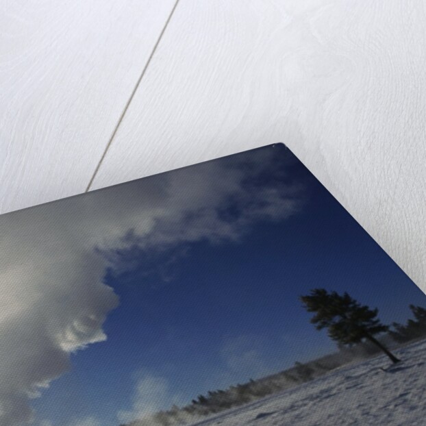 Old Faithful Geyser Erupting in Winter by Anonymous