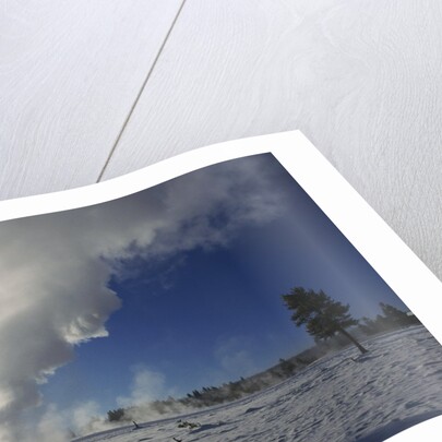 Old Faithful Geyser Erupting in Winter by Anonymous