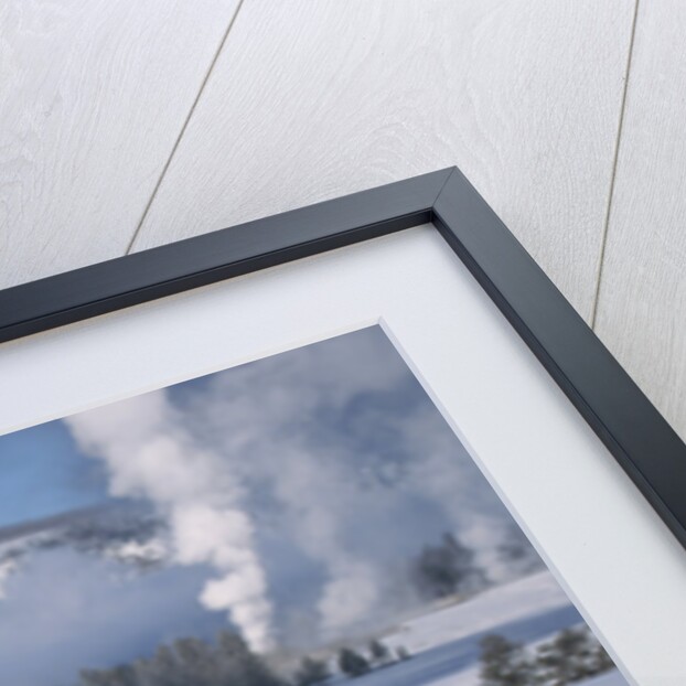Bison Standing near Geysers in Winter by Anonymous