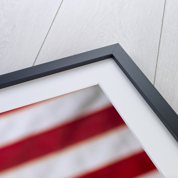 Bald Eagle and American Flag by Corbis