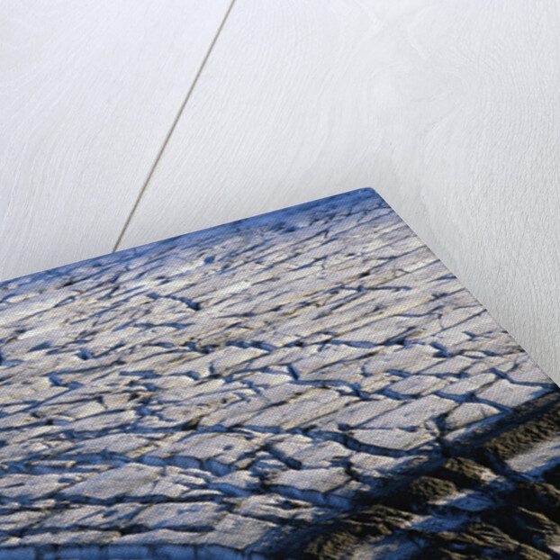 Cracked Surface of Glacier by Anonymous