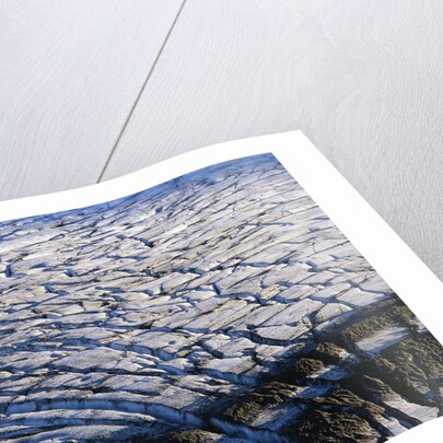 Cracked Surface of Glacier by Anonymous