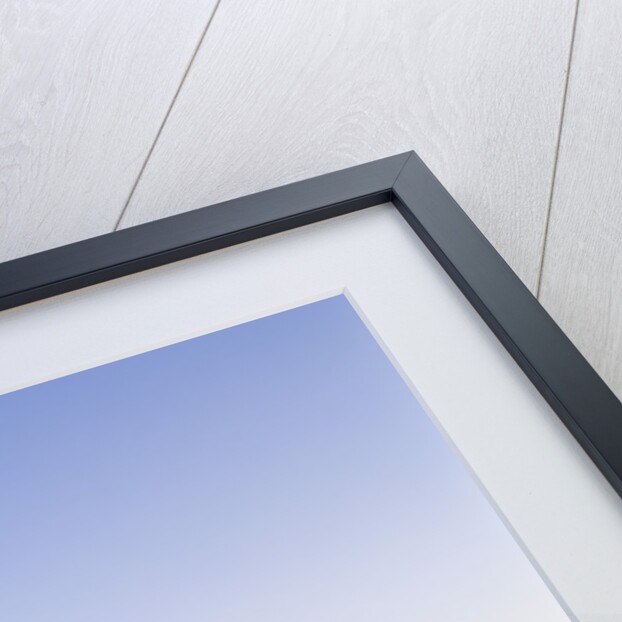 Top of Moro Rock by Anonymous