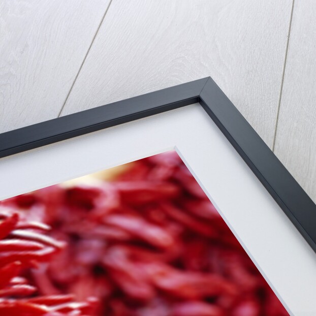 Chili Peppers by Anonymous