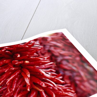 Chili Peppers by Anonymous