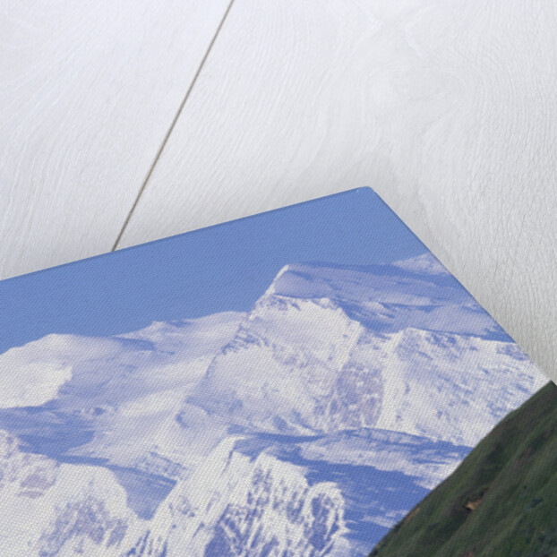 Road in Thorofare Pass Below Mt. McKinley by Anonymous