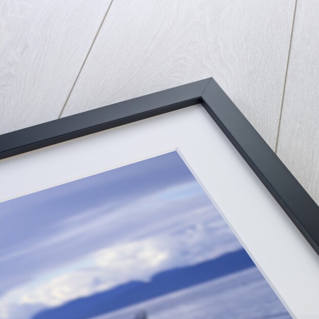 Humpback Whale Raising Pectoral Fin in Frederick Sound by Anonymous