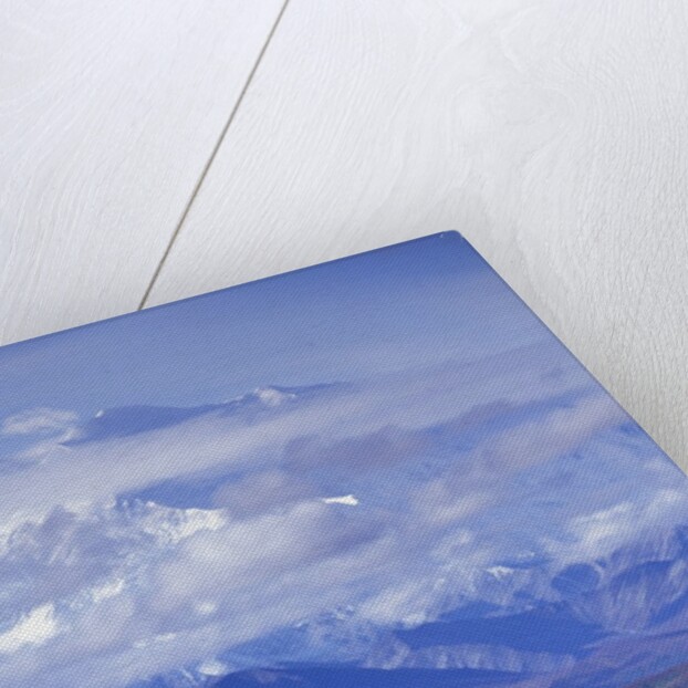 Caribou on Tundra Below Mt. McKinley by Anonymous