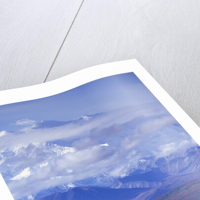 Caribou on Tundra Below Mt. McKinley by Anonymous