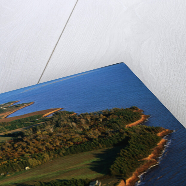 Aerial View of Prince Edward Island by Anonymous