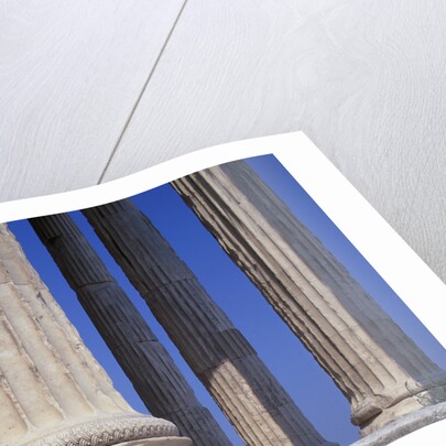 Ionic Marble Columns of the Erechtheion by Anonymous