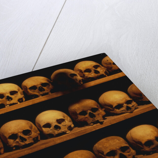 Shelves of Monk Skulls at Great Meteoron Ossuary by Anonymous