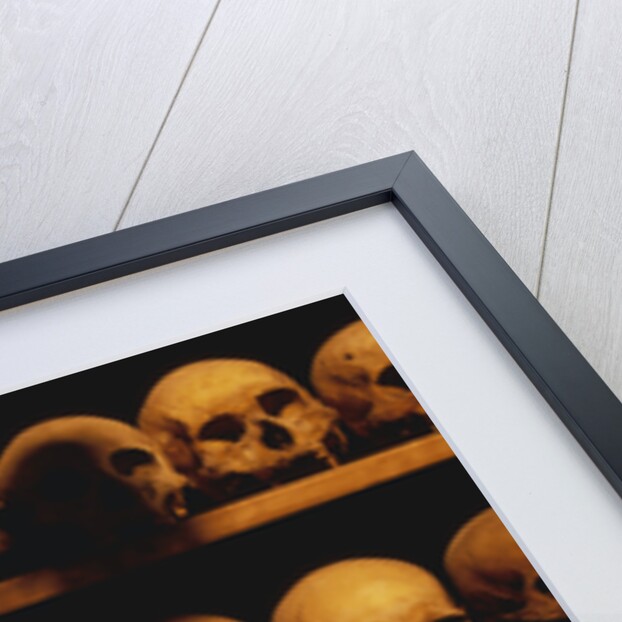 Shelves of Monk Skulls at Great Meteoron Ossuary by Anonymous