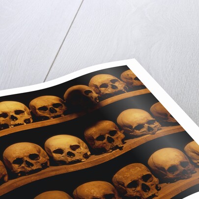 Shelves of Monk Skulls at Great Meteoron Ossuary by Anonymous