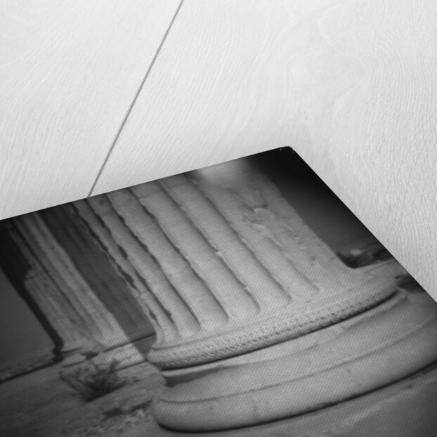 Columns of the Erechtheion by Anonymous