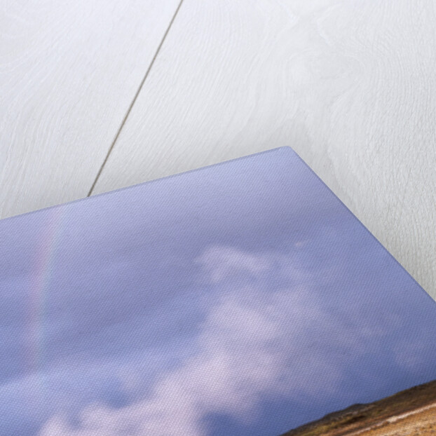 Rainbow over Geothermal Vent in Iceland by Anonymous