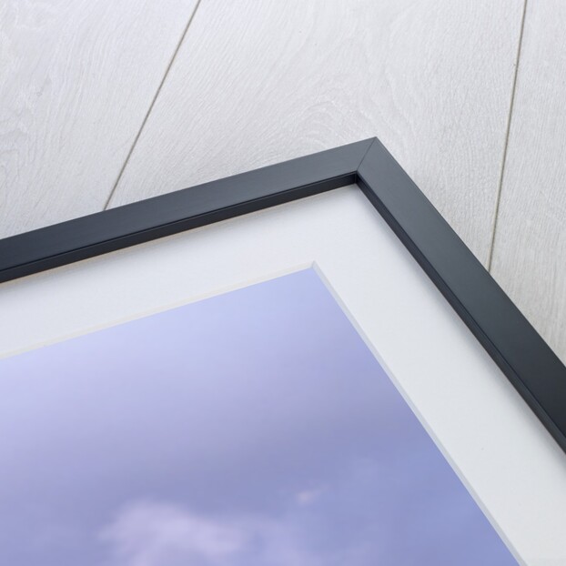 Rainbow over Geothermal Vent in Iceland by Anonymous