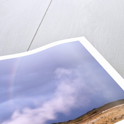 Rainbow over Geothermal Vent in Iceland by Anonymous
