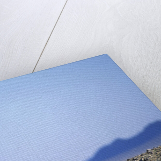 Wild Horse Calling in Namib-Naukluft Park by Anonymous