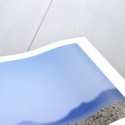 Wild Horse Calling in Namib-Naukluft Park by Anonymous
