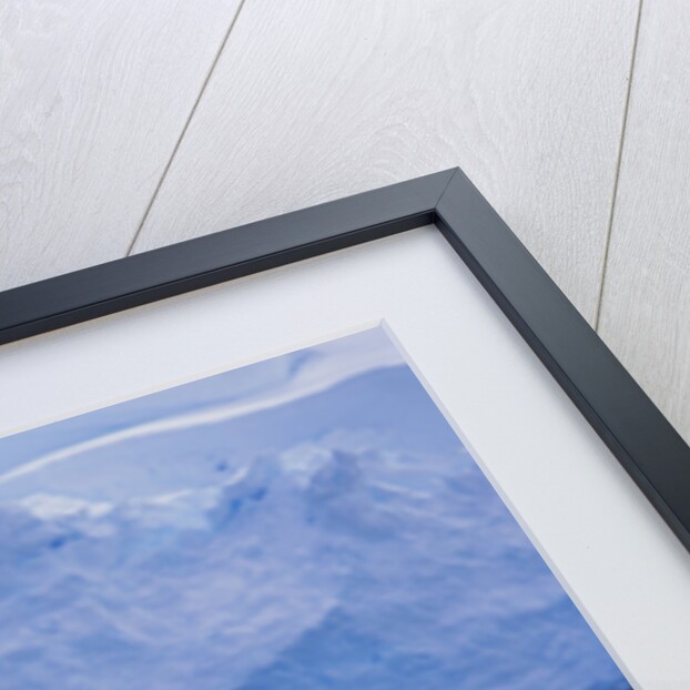 Humpback Whales in Fournier Bay in Antarctica by Anonymous