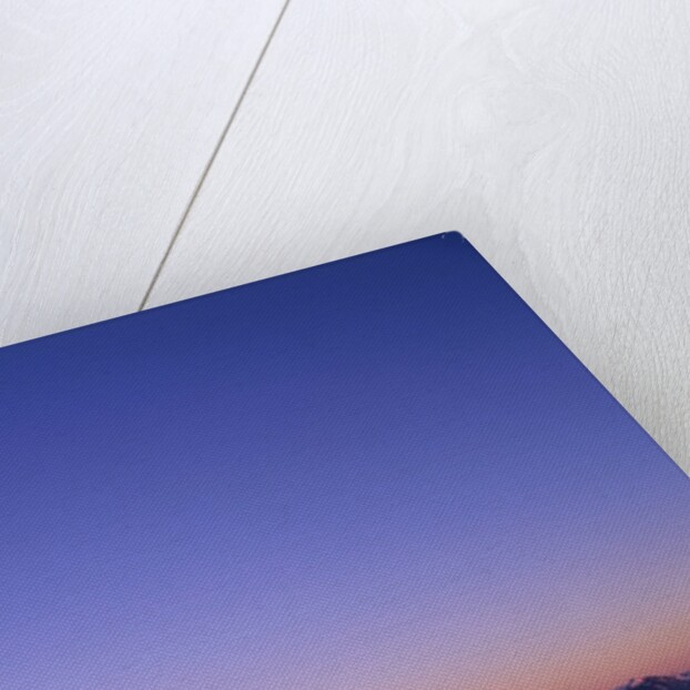 Western Face of Mount Rainier at Sunset by Anonymous