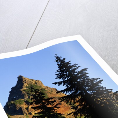 Pinnacle Peak in Mount Rainier National Park by Anonymous