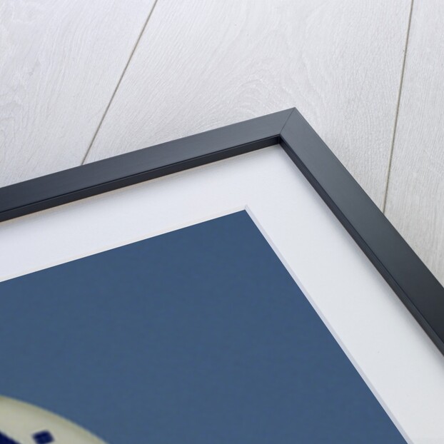 U.S.A. Love It or Leave It Button by Anonymous