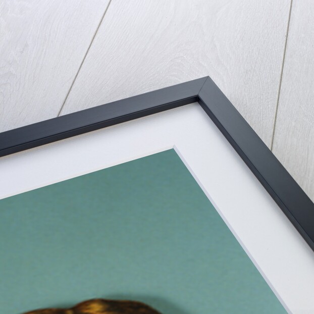 Theodore Roosevelt Tin Game by Anonymous