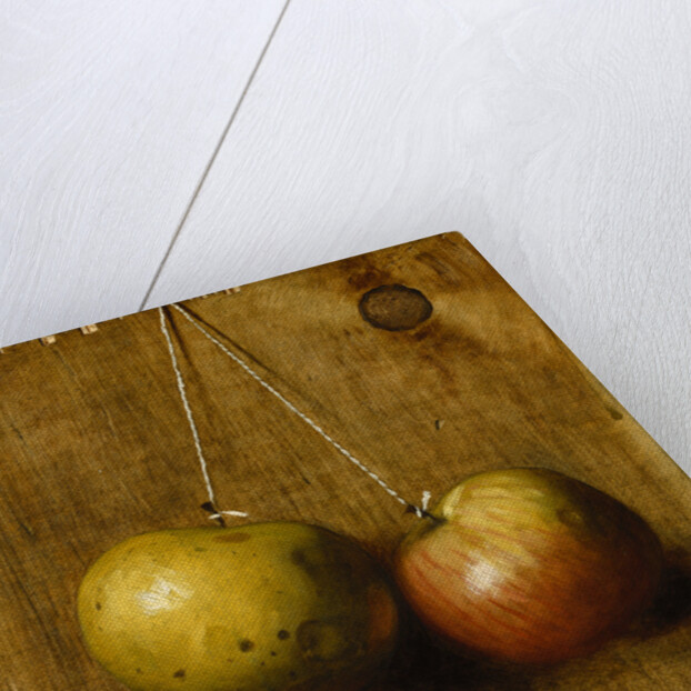 Hanging Apples by Stanley S. David