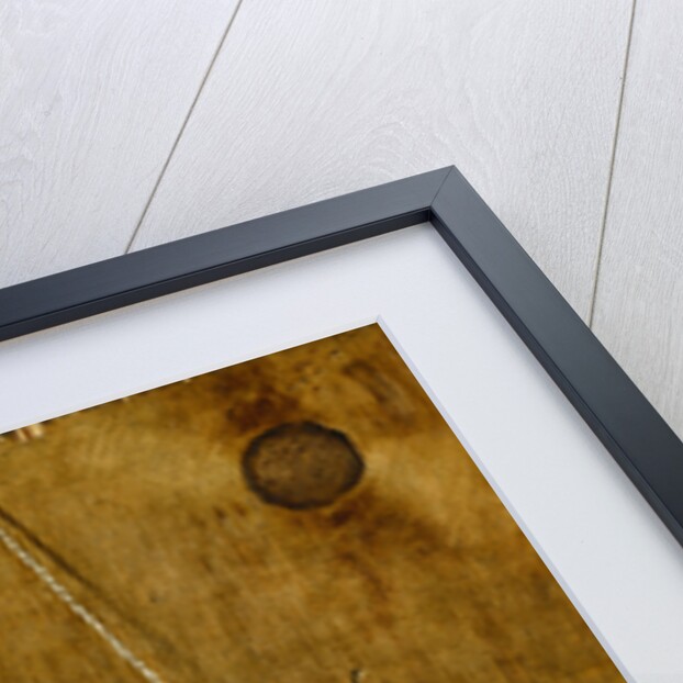 Hanging Apples by Stanley S. David