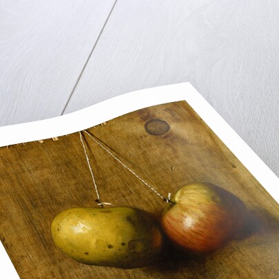 Hanging Apples by Stanley S. David