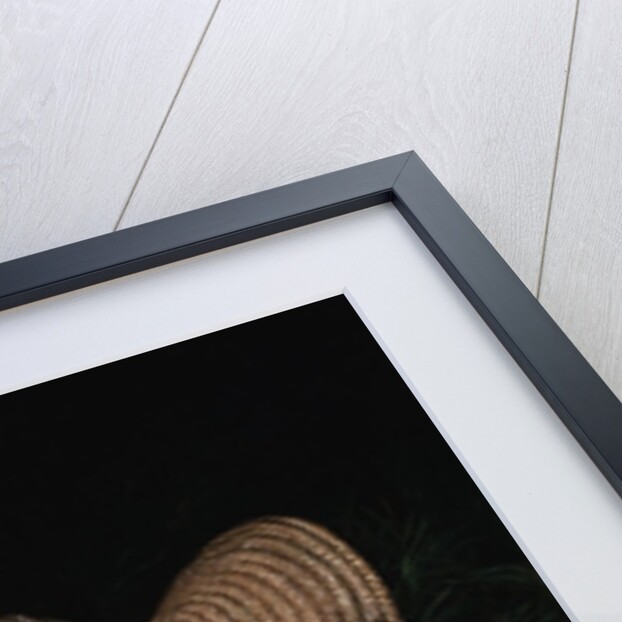 Autumn's Bounty by Robert Spear Dunning