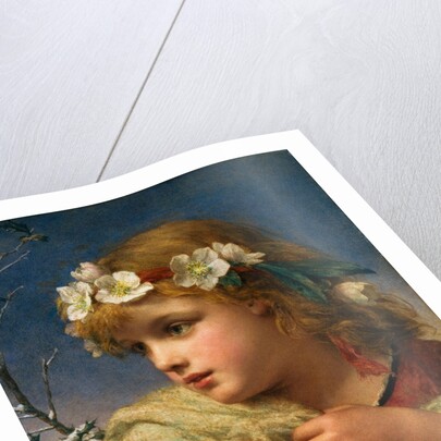 Christmas Roses by William C.T. Dobson