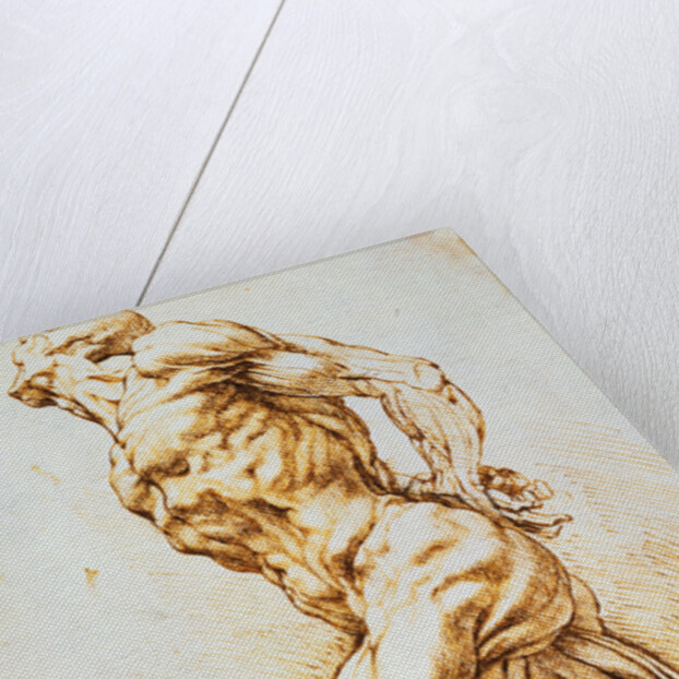 Anatomical Study: A Nude Striding to the Right His Hands Behind His Back by Peter Paul Rubens