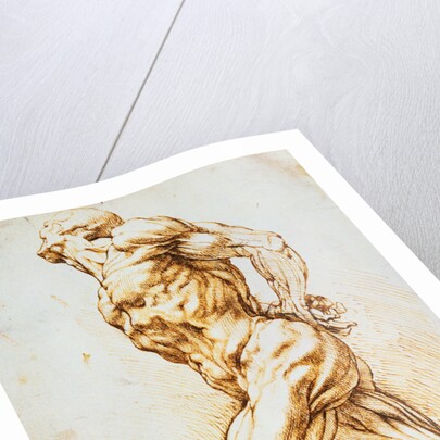 Anatomical Study: A Nude Striding to the Right His Hands Behind His Back by Peter Paul Rubens