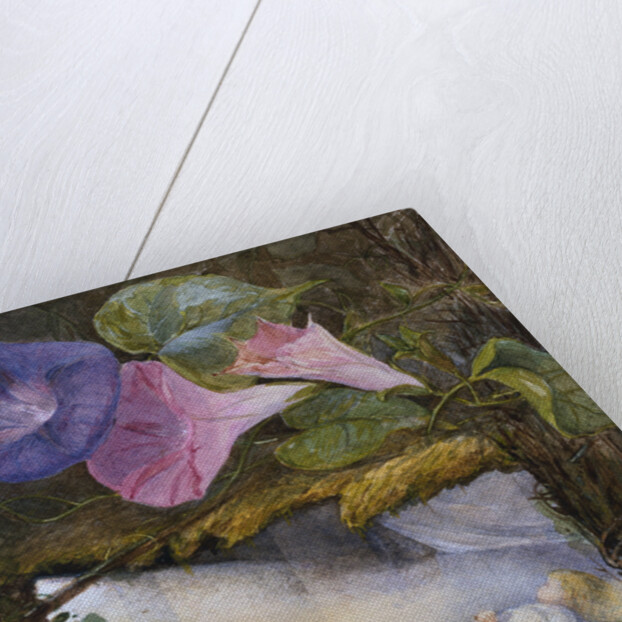 In the Hut There was Only a Bed The Sunbeam Stole in to Kiss Him by Eleanor Vere Boyle