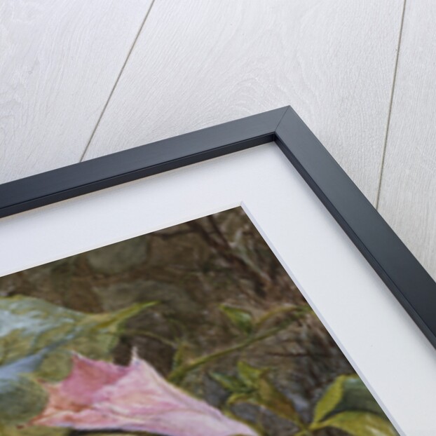 In the Hut There was Only a Bed The Sunbeam Stole in to Kiss Him by Eleanor Vere Boyle