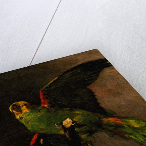 The Green Parakeet by Vincent Van Gogh