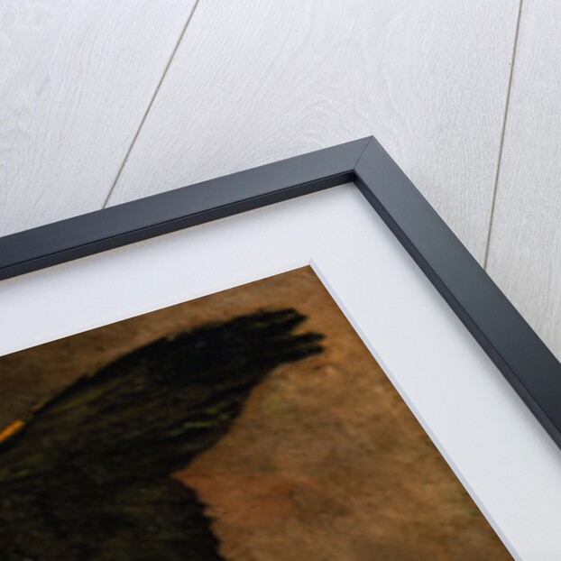 The Green Parakeet by Vincent Van Gogh