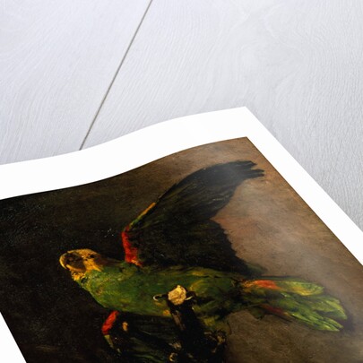 The Green Parakeet by Vincent Van Gogh
