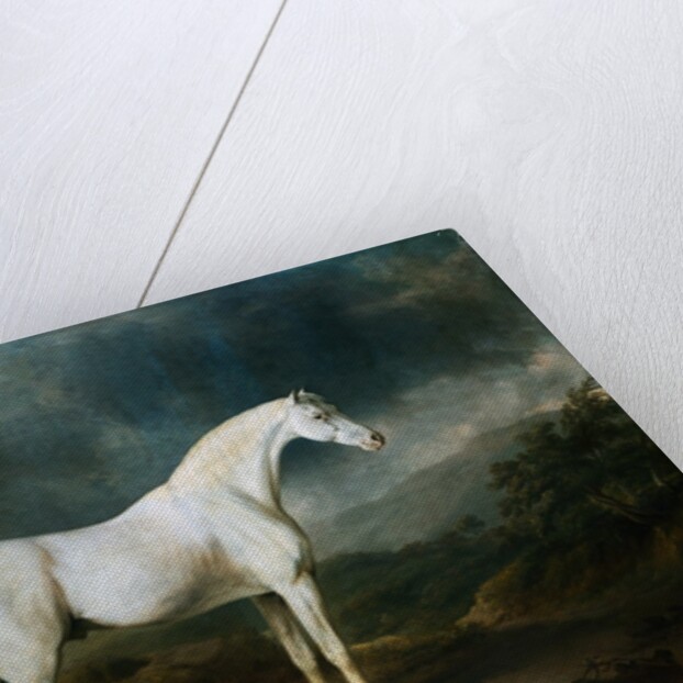 White Horse in a Wooded Landscape by Sawrey Gilpin