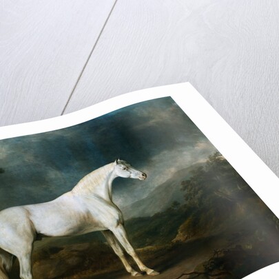 White Horse in a Wooded Landscape by Sawrey Gilpin