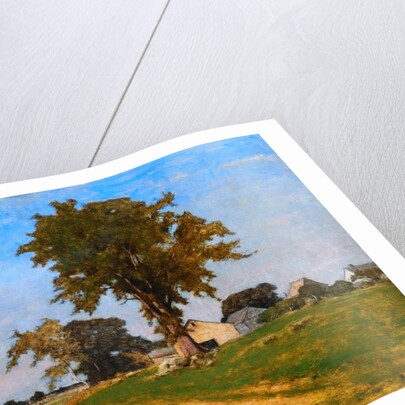 Old Elm at Medfield by George Inness