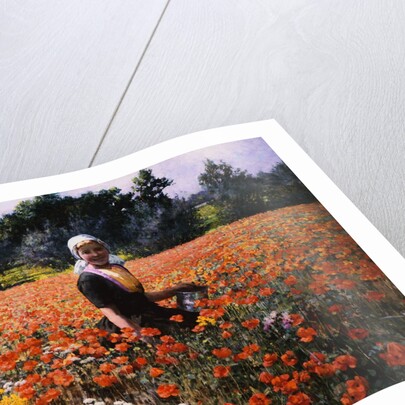 The Poppy Field by George Hitchcock